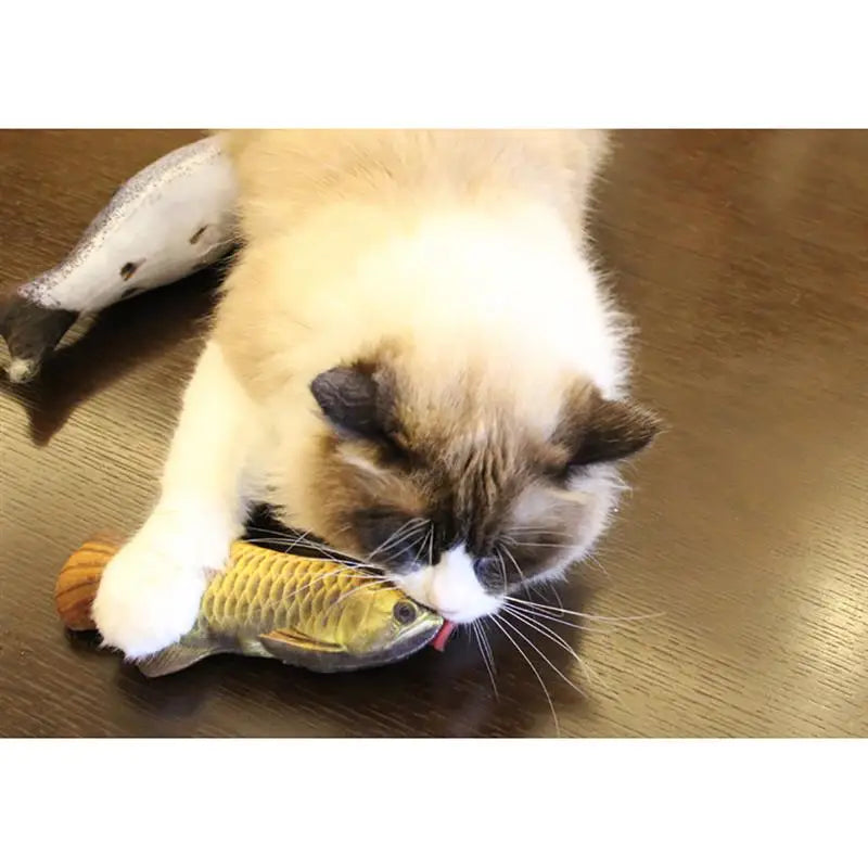 Interactive Plush 3D Fish Cat Toy