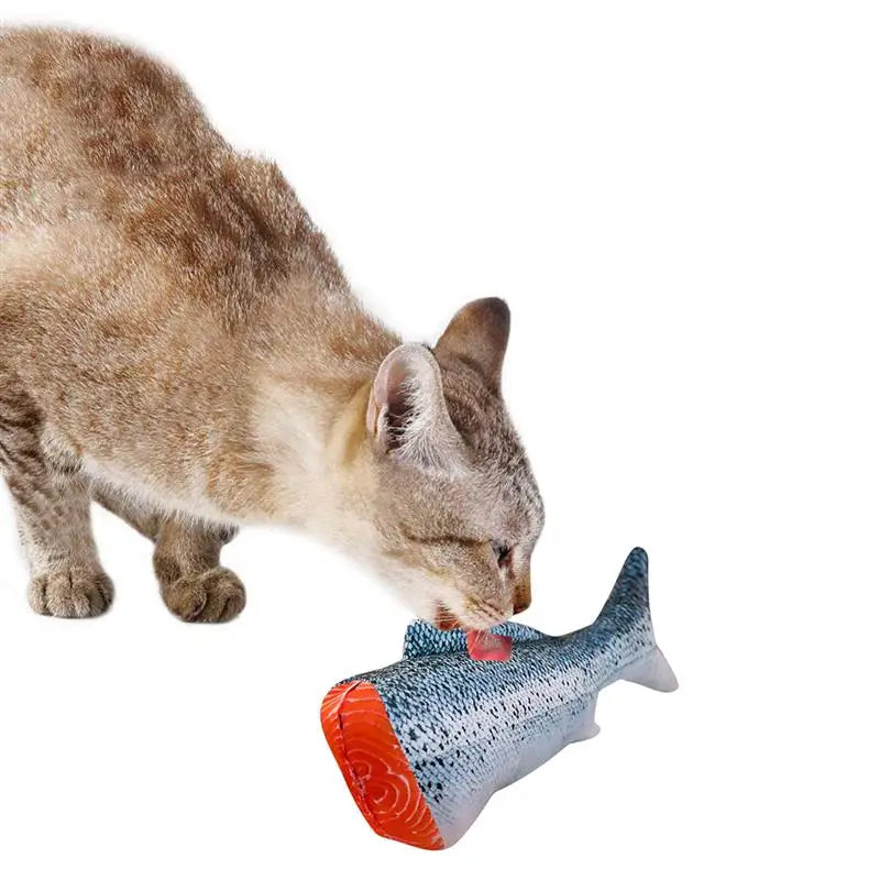 Interactive Plush 3D Fish Cat Toy