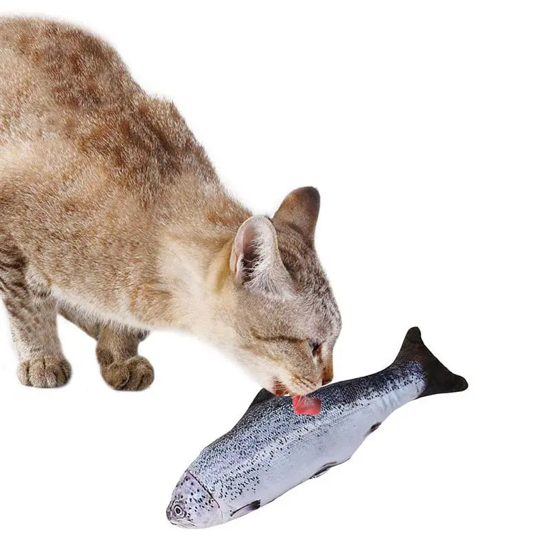 Interactive Plush 3D Fish Cat Toy