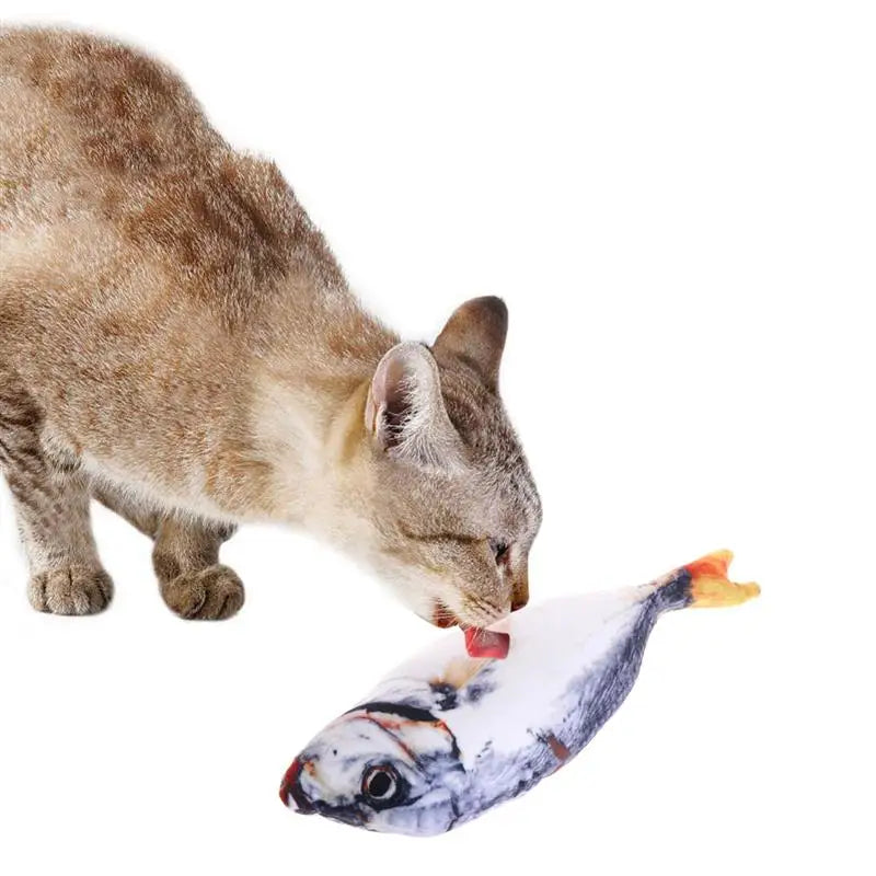 Interactive Plush 3D Fish Cat Toy